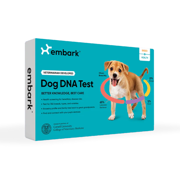 Unleash Your Dog's Best Life